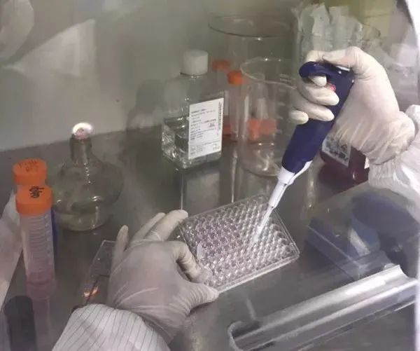 1691375299546919.jpg 2.jpg